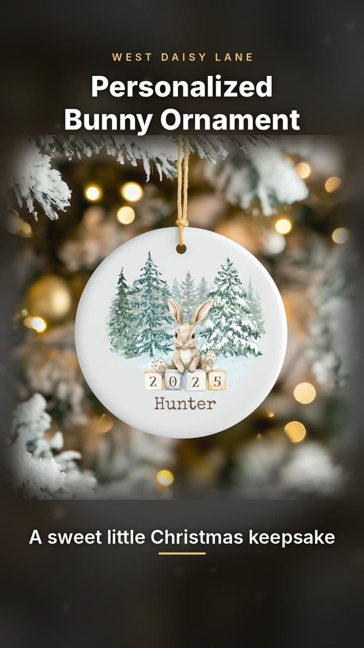 Bunny with Winter Trees Ornament video