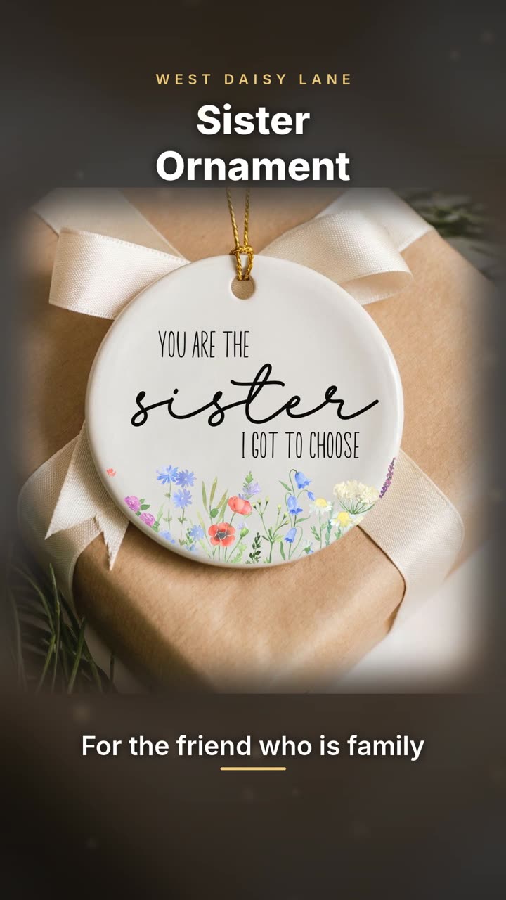 Sister I Got to Choose Ornament video
